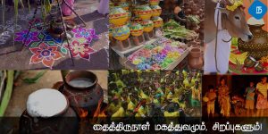 தமிழர்களால் சிறப்பாக கொண்டாடப்படும் தைத்திருநாள் மகத்துவமும், சிறப்புகளும்!