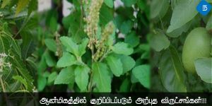 ஆன்மிகத்தில் குறிப்பிடப்படும் அற்புத விருட்சங்கள்!!!